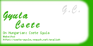 gyula csete business card
